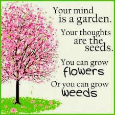 your-mind-is-a-garden